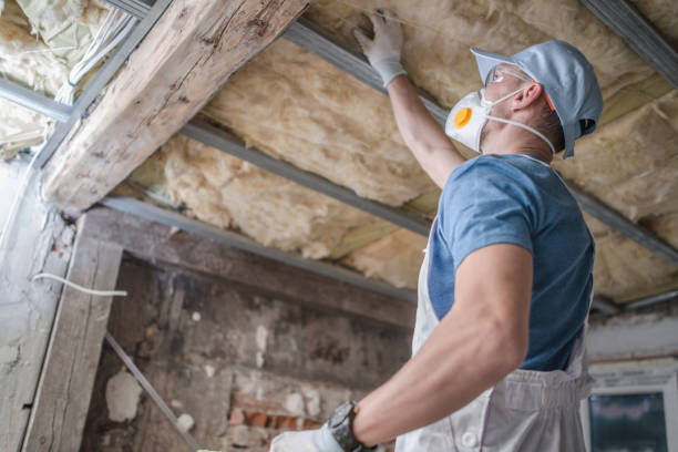 Best Residential Insulation Services  in Fredericktown, MO