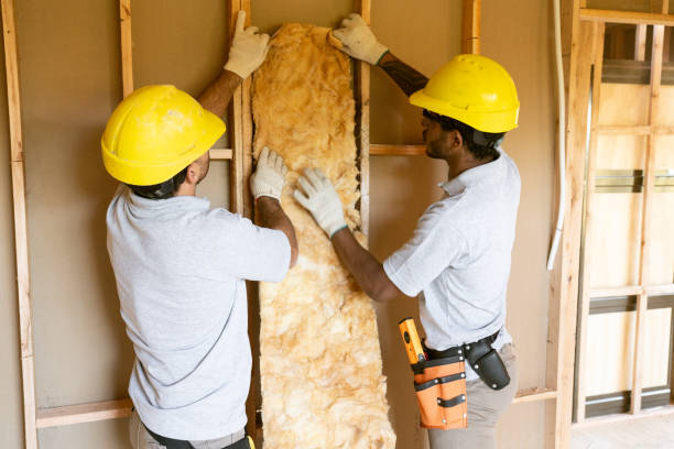 Best Insulation Repair Services  in Fredericktown, MO