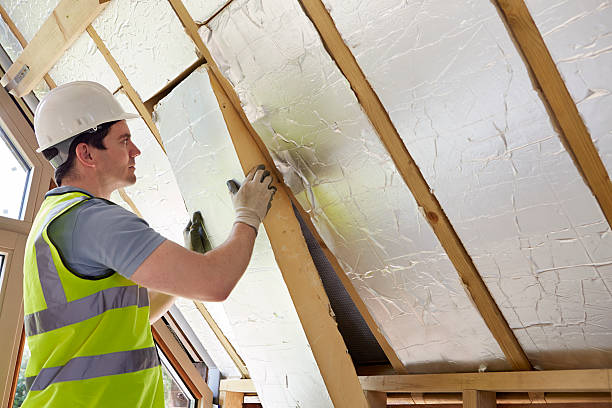 Best Blown-in Insulation  in Fredericktown, MO