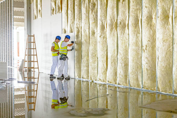 Best Insulation Inspection Services  in Fredericktown, MO